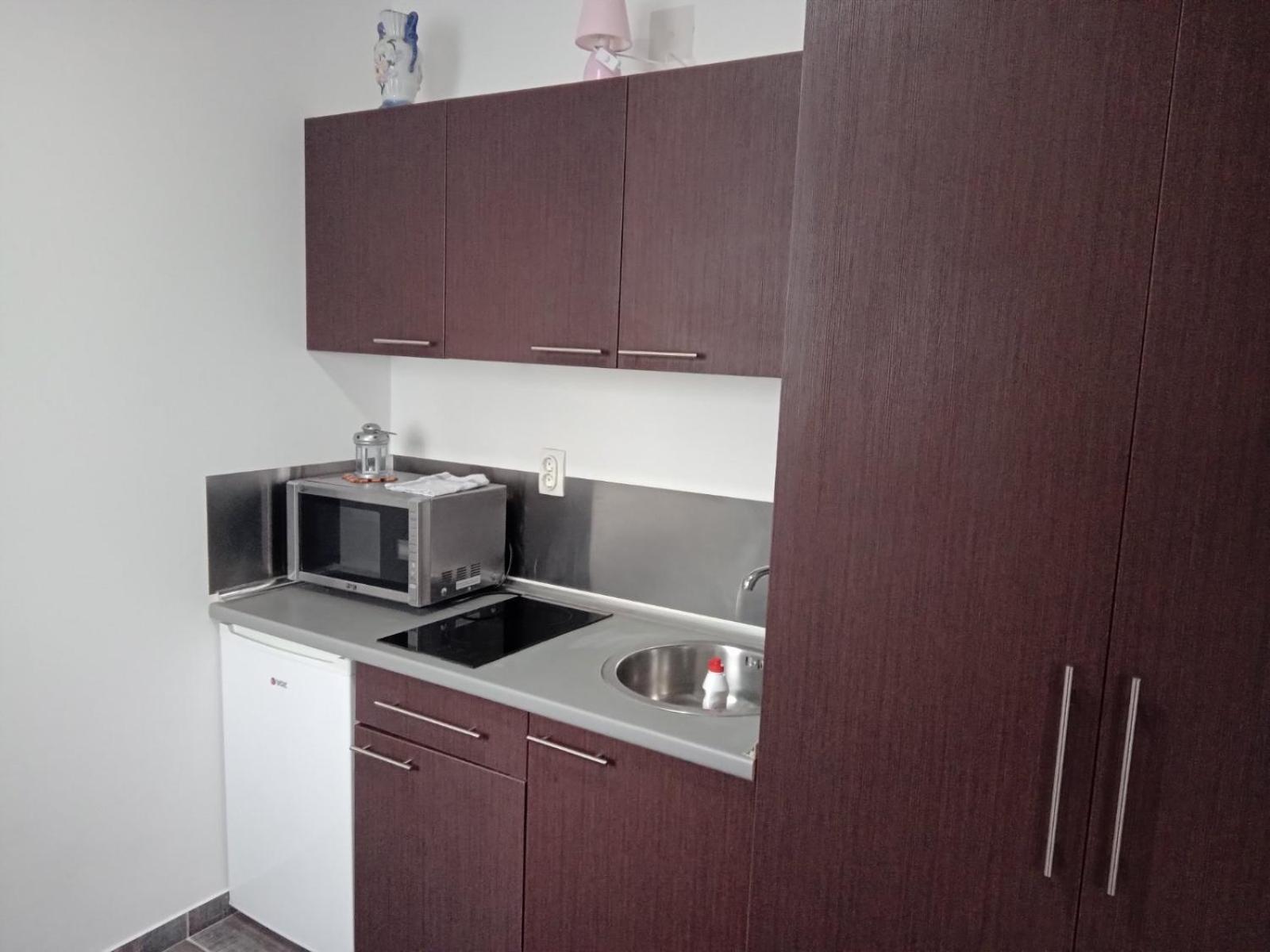 Vila Mozart - Apartments & Studios Kopaonik Exterior foto